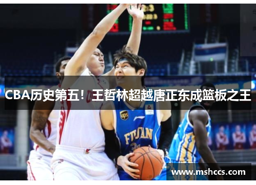 CBA历史第五！王哲林超越唐正东成篮板之王
